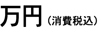 万円(消費税込)
